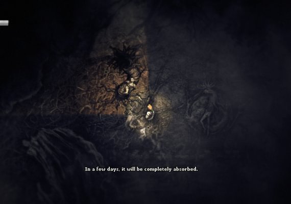 Darkwood Argentina screenshot 4