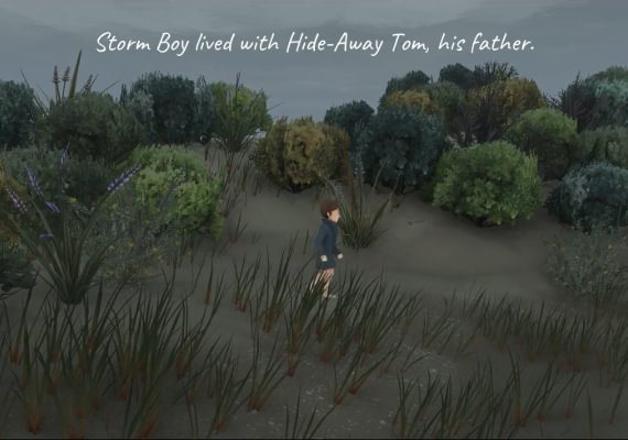 Storm Boy EN/DE/FR/RU/ES Argentina screenshot 3