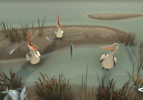 Storm Boy EN/DE/FR/RU/ES Argentina screenshot 4