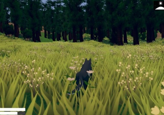 Wild Wolf EN/DE/ES/TR Global screenshot 4