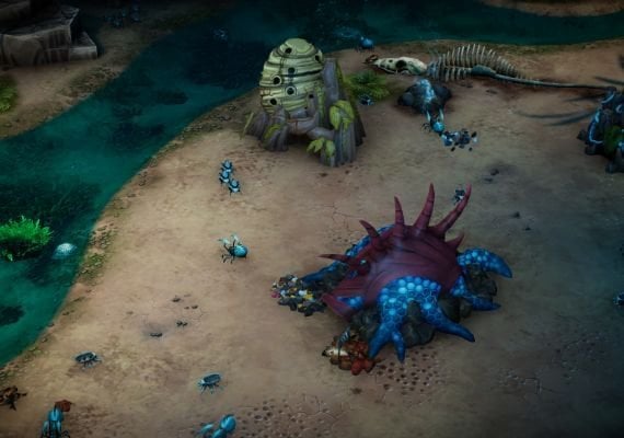 The Hive EN Global screenshot 4