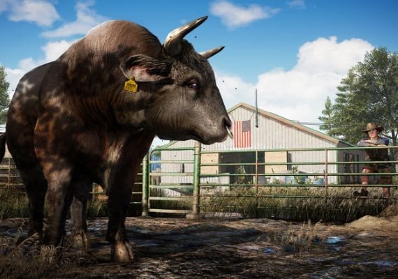 Far Cry 5 Gold Edition EN/DE/FR/IT/ES EMEA screenshot 3