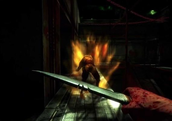 Dementium II HD EN/FR Global screenshot 3