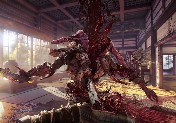 Shadow Warrior 2 EN/DE/FR/PL/PT/RU/ZH/ES Argentina screenshot 2
