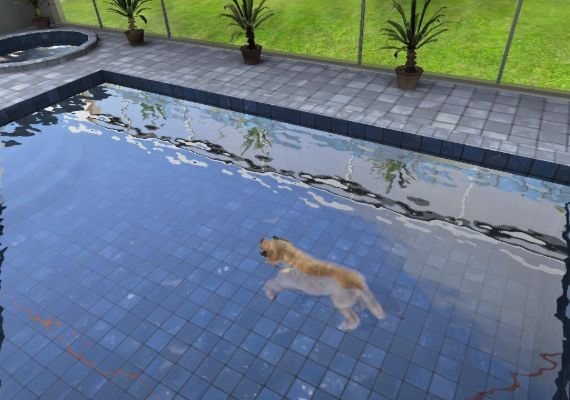 Paws and Claws: Pampered Pets EN Global screenshot 3