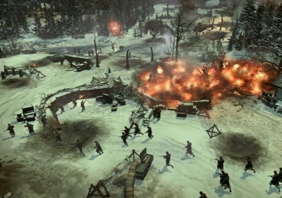 Company of Heroes 2 - Whale and Dolphin Pattern Pack EN/DE/FR/IT/PL/CS/RU/ES Global screenshot 3