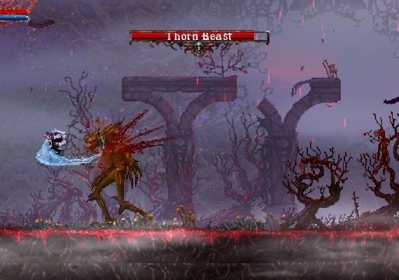 Slain: Back from Hell EN Argentina screenshot 3