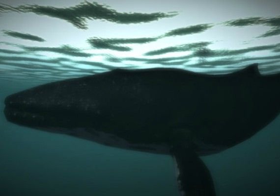 Age of Survival EN/DE/FR/IT Global screenshot 4