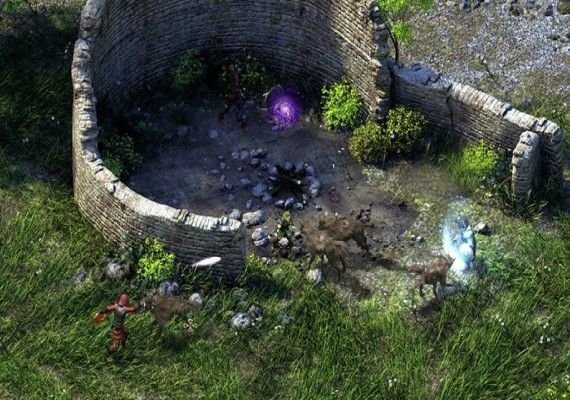 Pillars of Eternity Complete Edition EN/DE/FR/IT Argentina screenshot 3