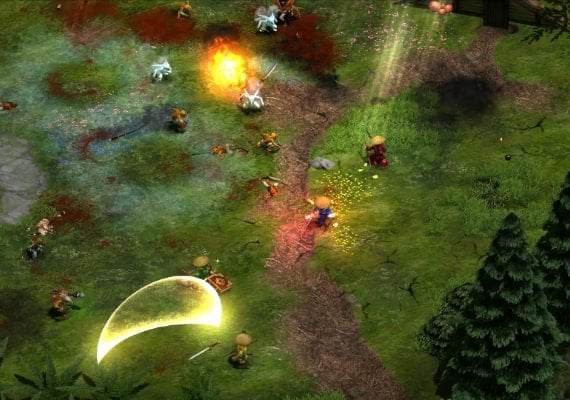 Magicka - Nippon EN/RU Global screenshot 3
