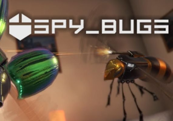 Bug key. Spy bug.