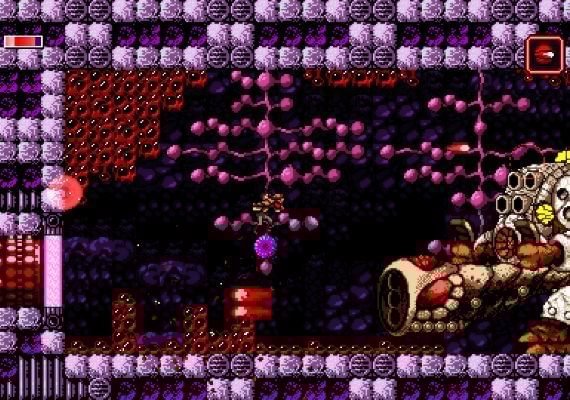 Axiom Verge EN/DE/FR/IT/JA/PT/RU/ES Argentina screenshot 4