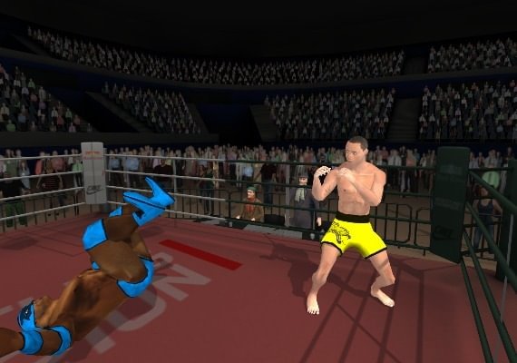 Wrestlers Without Boundaries EN/DE/PT/RU/ZH Global screenshot 3