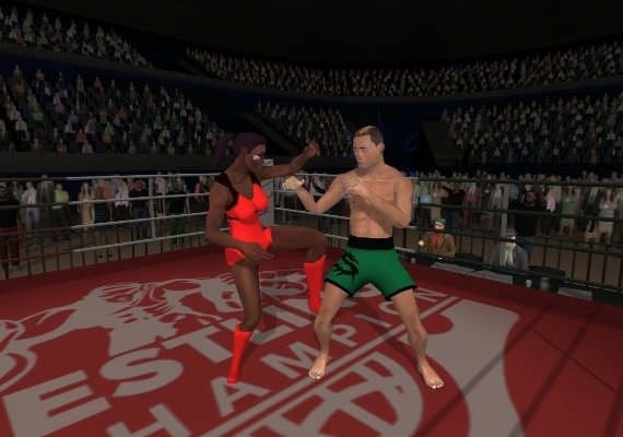 Wrestlers Without Boundaries EN/DE/PT/RU/ZH Global screenshot 4