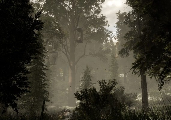 The Woods: VR Escape the Room EN Global screenshot 2