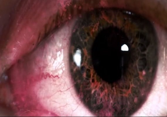 Dark Passenger EN Global screenshot 2