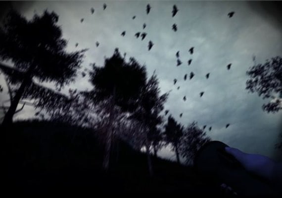 Light & Dark - Bundle EN Argentina screenshot 3