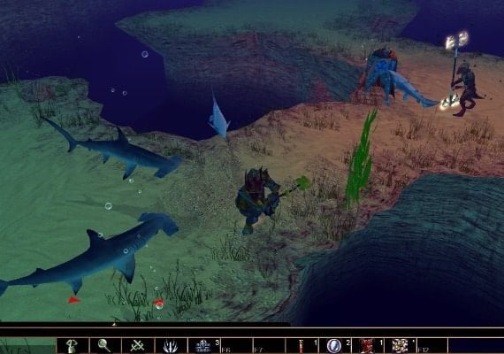 Neverwinter Nights: Pirates of the Sword Coast DLC EN Global screenshot 4