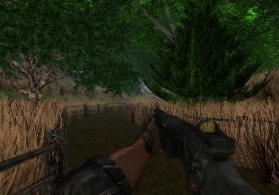 Dragon Storm EN Global screenshot 4