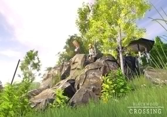 Blackwood Crossing EN/DE/FR/IT/ES Argentina screenshot 2