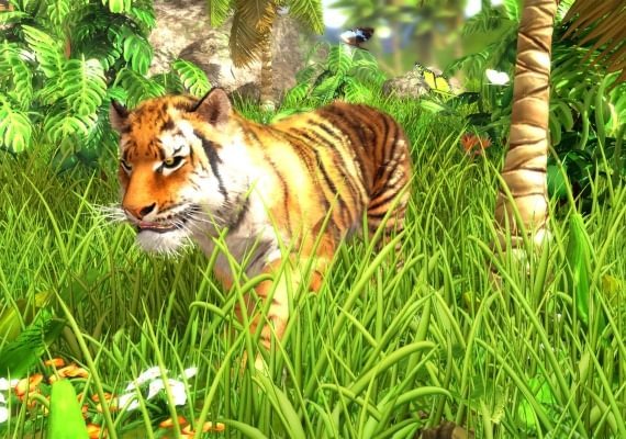 Wildlife Park 3 EN/DE/FR/IT/PL/CS/ZH Global screenshot 3