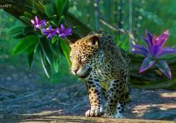 Planet Zoo - South America Pack Global screenshot 3