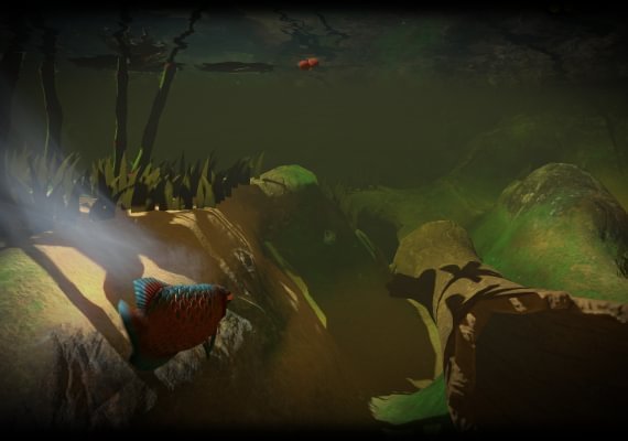 Feed and Grow: Fish EN Global screenshot 2
