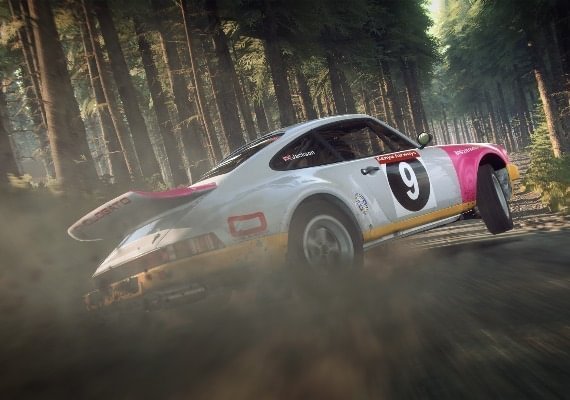 DiRT Rally 2.0 GOTY Edition Argentina screenshot 2