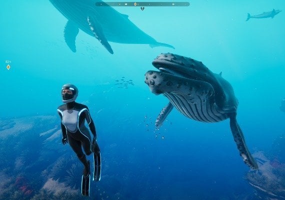 Beyond Blue EU screenshot 2