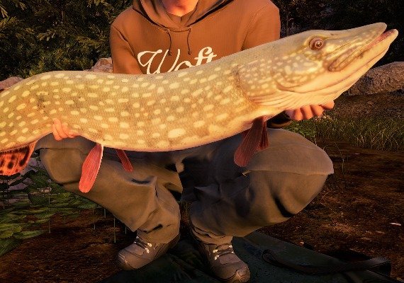 Fishing Sim World: Pro Tour - Jezioro Bestii DLC EN/DE/FR/PL/RU/ZH/ES Global screenshot 4