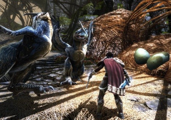 Kingdoms of Amalur: Re-Reckoning Fate Edition EN Argentina screenshot 4
