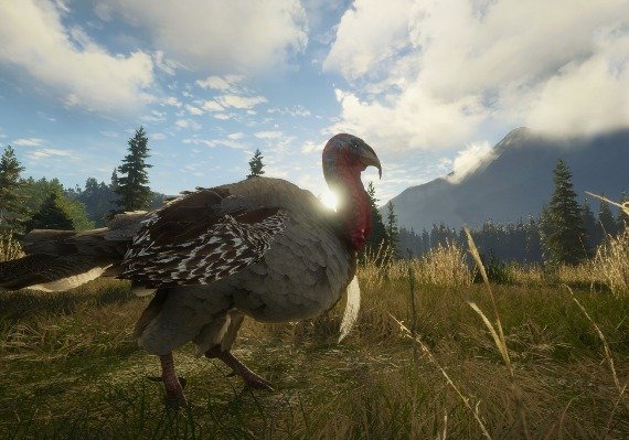 theHunter: Call of the Wild - Silver Ridge Peaks DLC EN EU screenshot 4