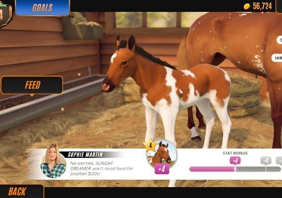 Rival Stars: Horse Racing Desktop Edition EU screenshot 4
