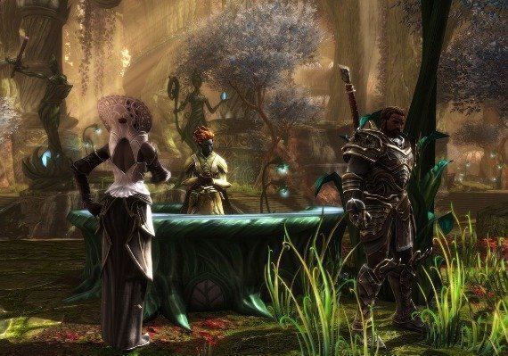 Kingdoms of Amalur: Re-Reckoning Fate Edition EN United States screenshot 4