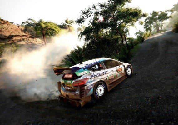 WRC 9: FIA World Rally Championship Global screenshot 3