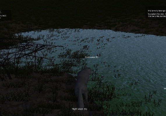 Wolf Simulator EN Global screenshot 4