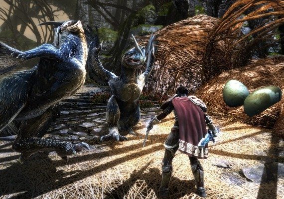Kingdoms of Amalur: Re-Reckoning Fate Edition EN EU screenshot 3