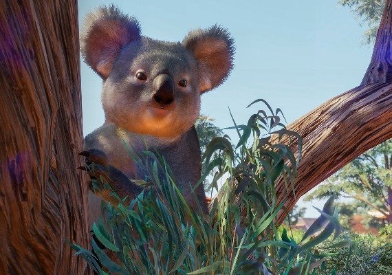 Planet Zoo - Australia Pack EU screenshot 3