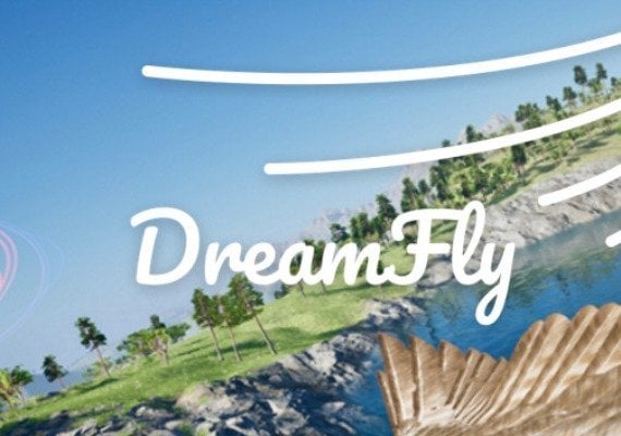 DreamFly VR Global