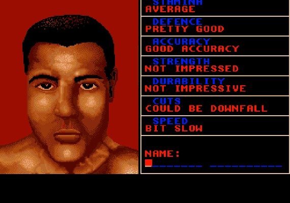 World Championship Boxing Manager EN/DE/FR/IT/PL/ES Global screenshot 3
