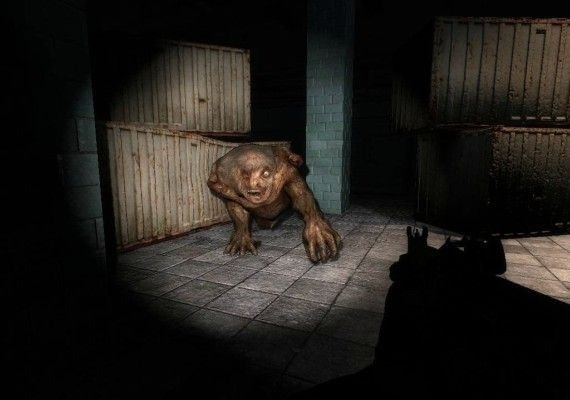S.T.A.L.K.E.R.: Shadow of Chernobyl EN/FR/IT/ES EU screenshot 3