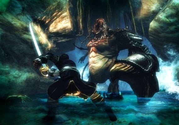 Risen 2: Dark Waters EN/DE/FR/IT/PL/CS/RU/ES Global screenshot 2