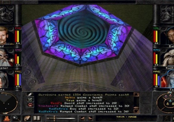 Wizardry 8 EN Global screenshot 3