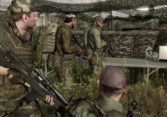 Arma 2 EN Global screenshot 2