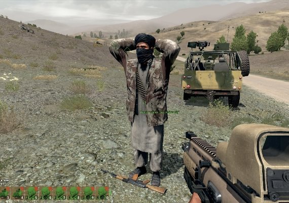 Arma 2 EN Global screenshot 3