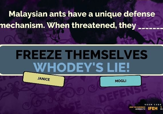The Jackbox Party Pack 2 EN Global screenshot 2