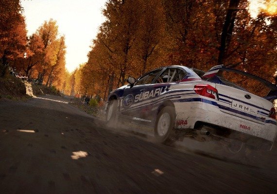 DiRT 4 - Hyundai R5 Rally Car DLC EN/DE/FR/IT/ES Global screenshot 4