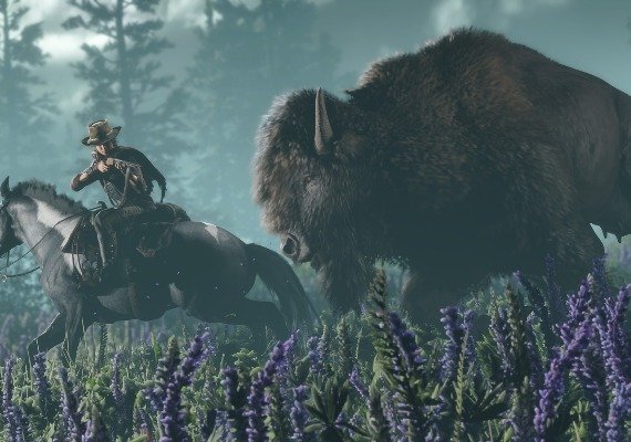 Red Dead: Online EN EU screenshot 4