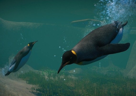 Planet Zoo - Aquatic Pack DLC Global screenshot 3