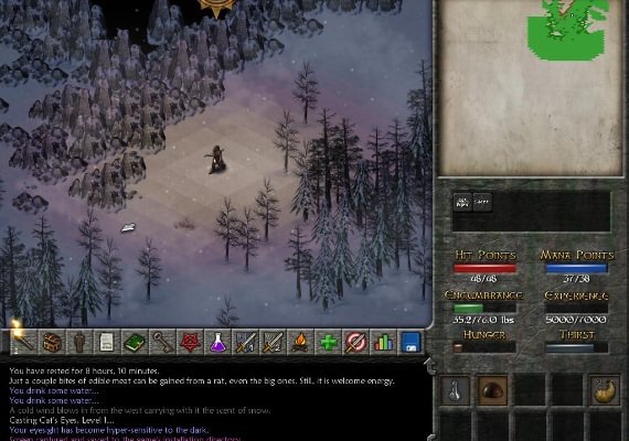 Eschalon: Book II EN Global screenshot 3